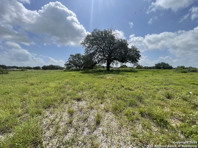 Image 12 of 16 For Lot 2 County Road 6723