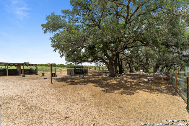 Image 17 of 20 For 1250 County Road 304