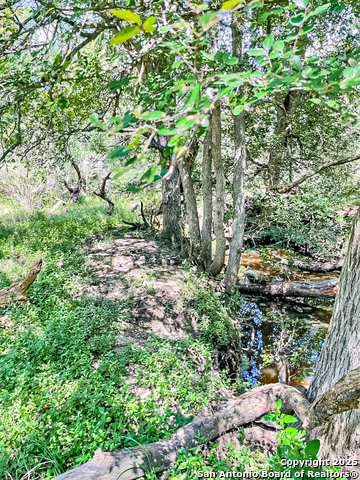 Image 28 of 30 For 3089 Church Rd