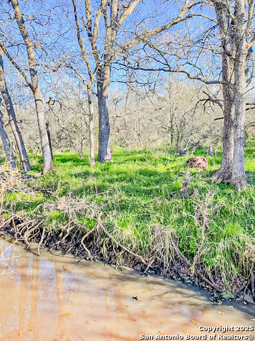 Image 30 of 30 For 3089 Church Rd