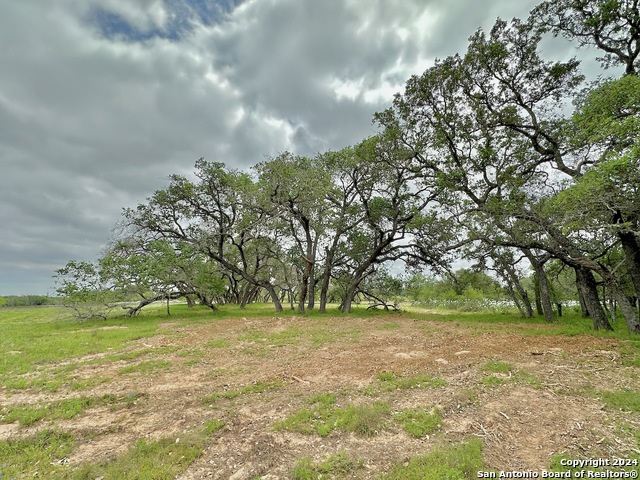 Listing photo id 15 for 191.5 Ac Cr 770