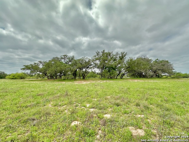 Listing photo id 16 for 191.5 Ac Cr 770