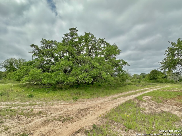 Listing photo id 18 for 191.5 Ac Cr 770
