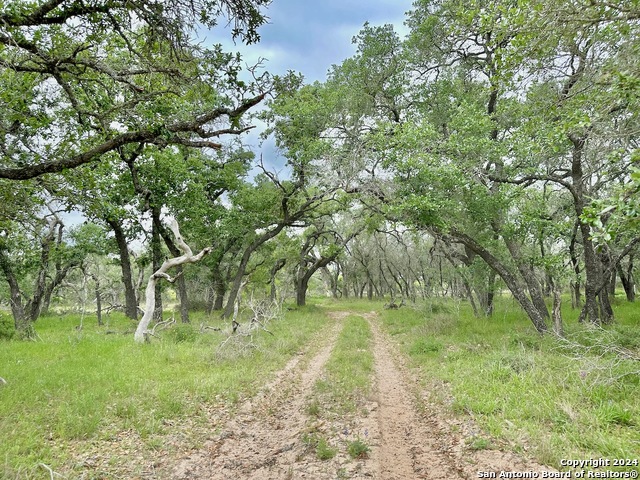 Listing photo id 19 for 191.5 Ac Cr 770