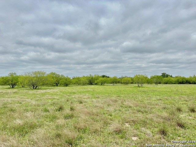 Listing photo id 20 for 191.5 Ac Cr 770