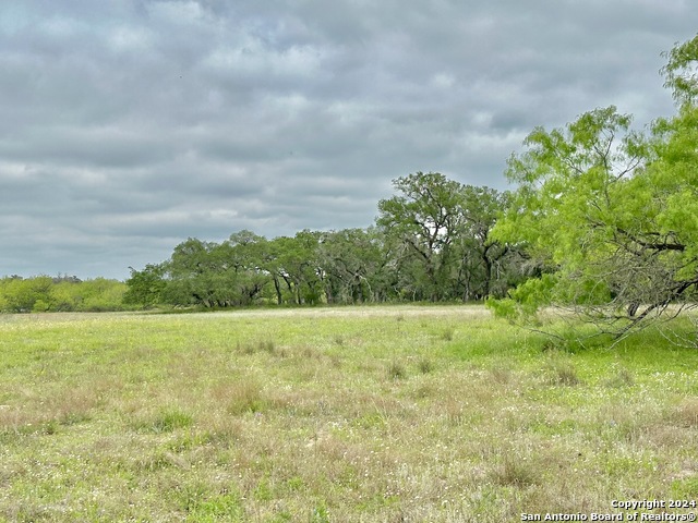 Listing photo id 21 for 191.5 Ac Cr 770