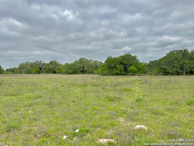 Listing photo id 25 for 191.5 Ac Cr 770