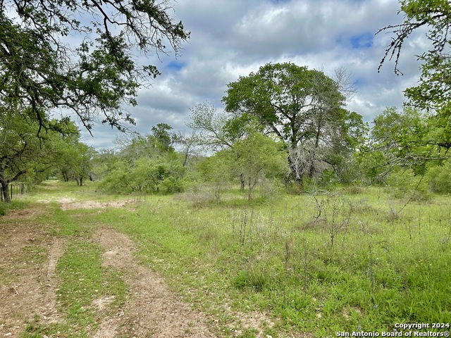 Listing photo id 26 for 191.5 Ac Cr 770