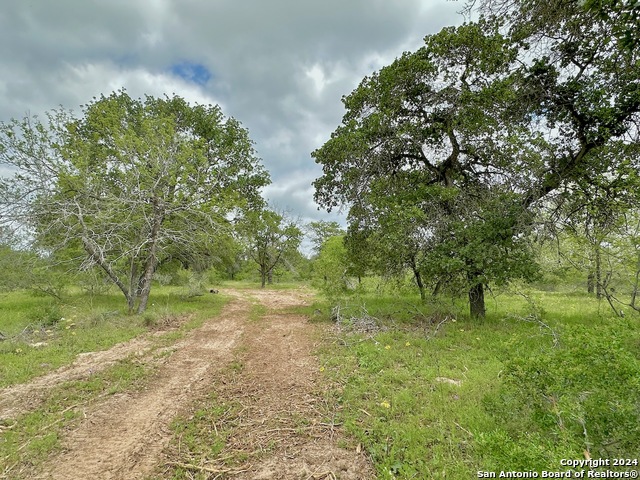 Listing photo id 27 for 191.5 Ac Cr 770