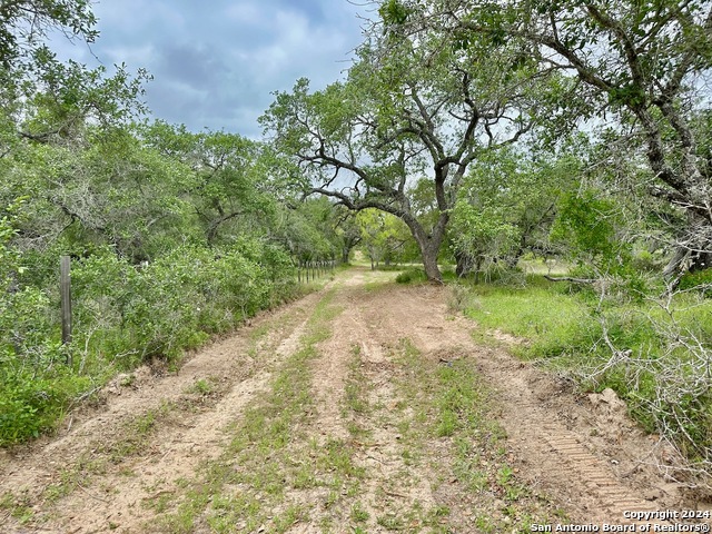 Listing photo id 1 for 191.5 Ac Cr 770