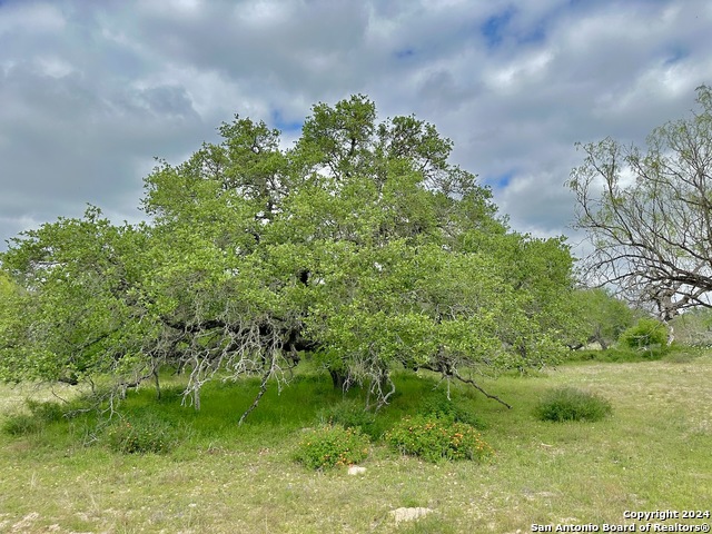 Listing photo id 28 for 191.5 Ac Cr 770