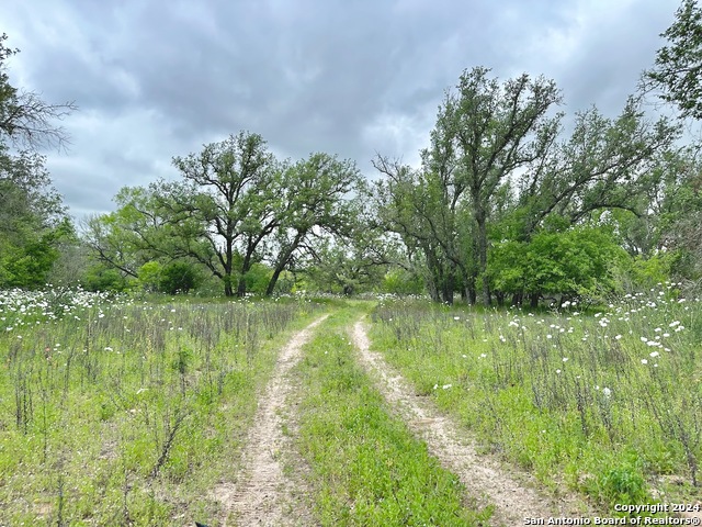 Listing photo id 9 for 369.4 Ac Cr 7711