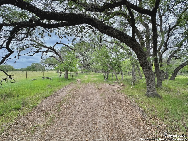 Listing photo id 10 for 369.4 Ac Cr 7711