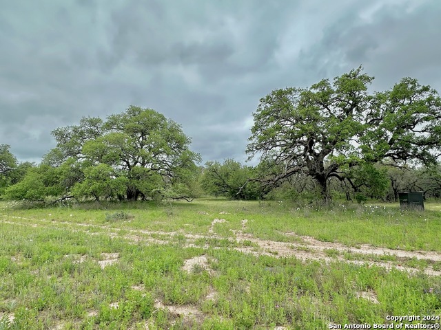 Listing photo id 15 for 369.4 Ac Cr 7711