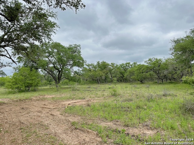 Listing photo id 16 for 369.4 Ac Cr 7711
