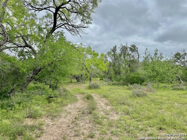 Listing photo id 17 for 369.4 Ac Cr 7711