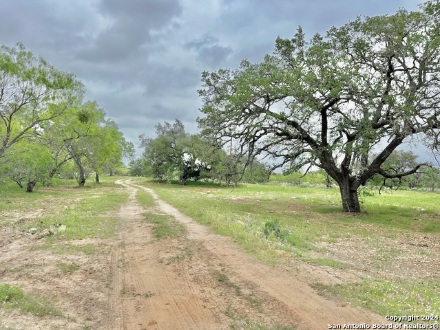 Listing photo id 0 for 369.4 Ac Cr 7711