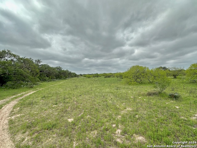 Listing photo id 18 for 369.4 Ac Cr 7711