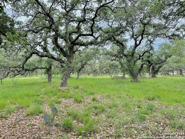 Listing photo id 20 for 369.4 Ac Cr 7711