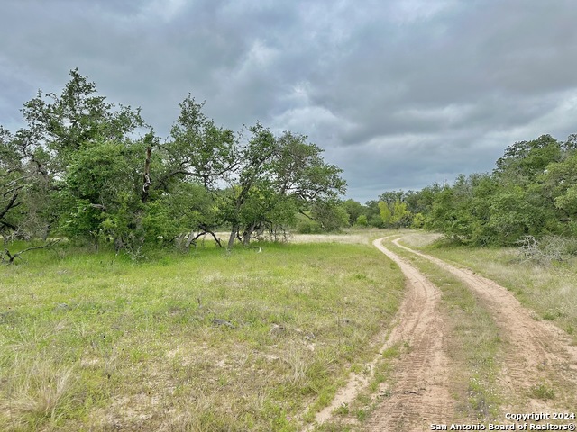 Listing photo id 21 for 369.4 Ac Cr 7711