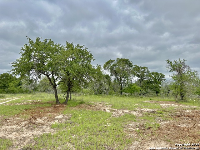 Listing photo id 29 for 369.4 Ac Cr 7711