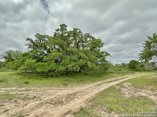 Listing photo id 30 for 369.4 Ac Cr 7711