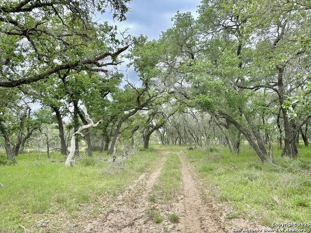 Listing photo id 31 for 369.4 Ac Cr 7711