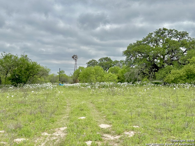 Listing photo id 35 for 369.4 Ac Cr 7711