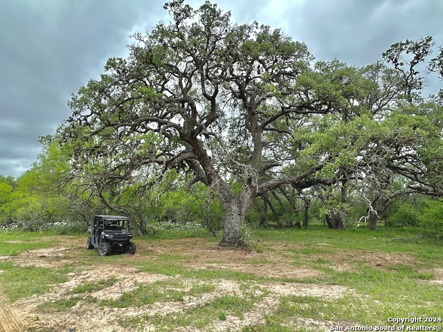 Listing photo id 2 for 369.4 Ac Cr 7711