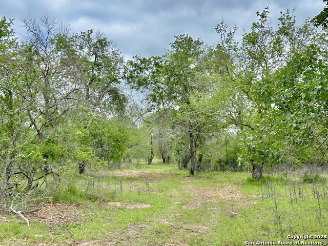 Listing photo id 38 for 369.4 Ac Cr 7711