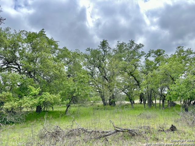 Listing photo id 39 for 369.4 Ac Cr 7711