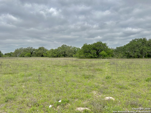 Listing photo id 41 for 369.4 Ac Cr 7711