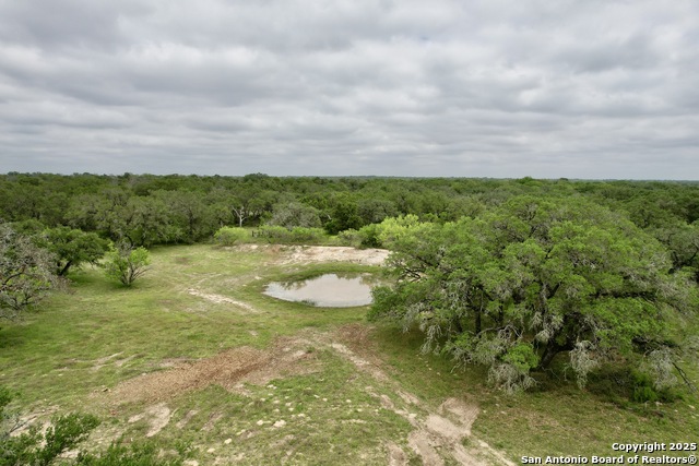 Listing photo id 43 for 369.4 Ac Cr 7711