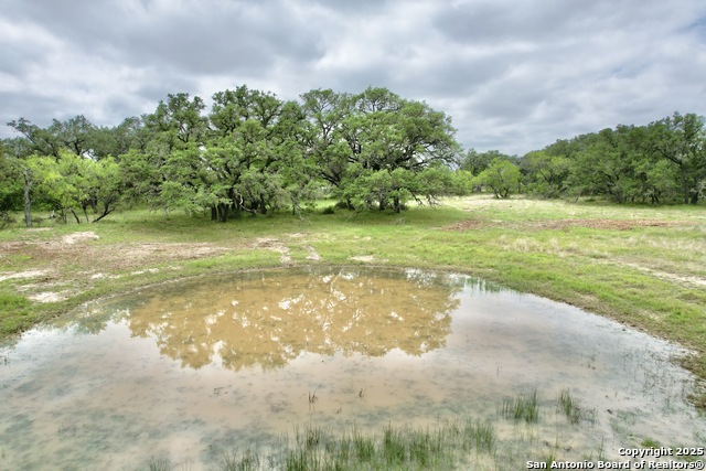 Listing photo id 45 for 369.4 Ac Cr 7711