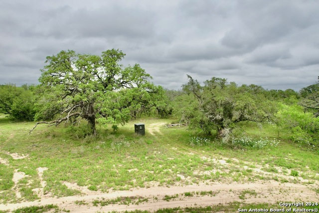 Listing photo id 7 for 369.4 Ac Cr 7711
