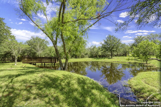 Listing photo id 30 for 155 Woodrow Center