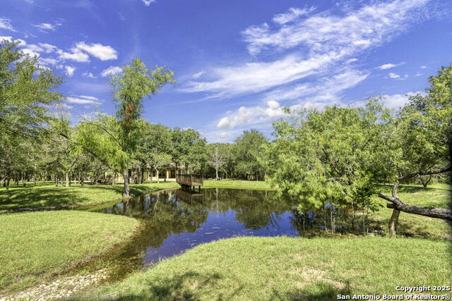 Listing photo id 31 for 155 Woodrow Center