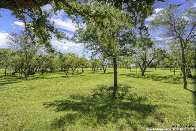 Listing photo id 34 for 155 Woodrow Center