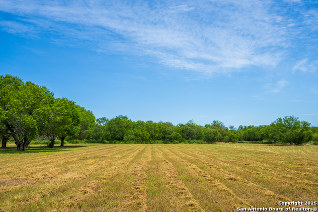 Listing photo id 11 for 202 Ranch Rd