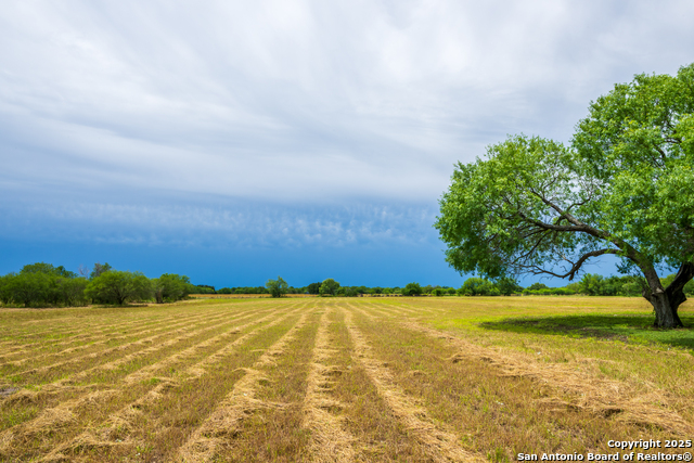 Listing photo id 12 for 202 Ranch Rd