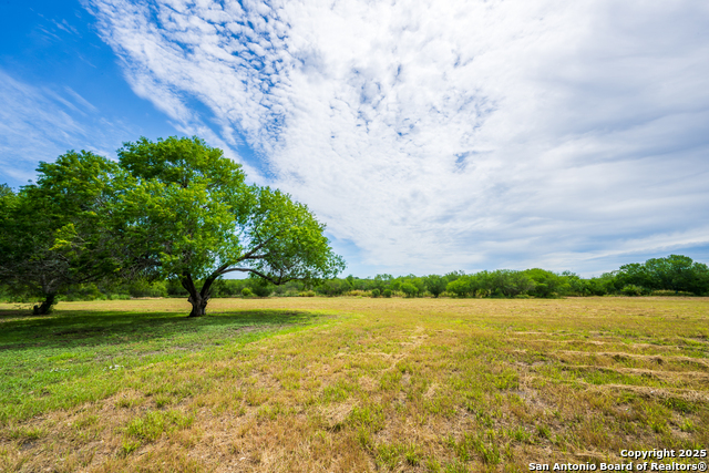 Listing photo id 6 for 202 Ranch Rd