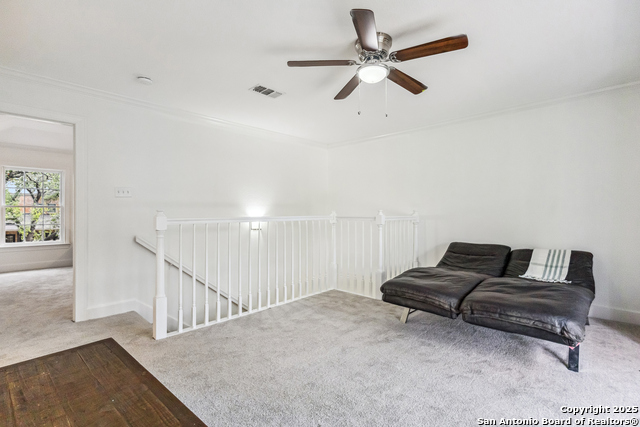 Listing photo id 28 for 302 Bluffcove