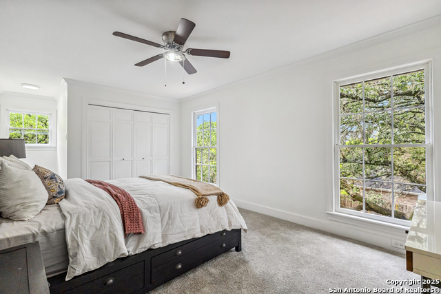 Listing photo id 29 for 302 Bluffcove