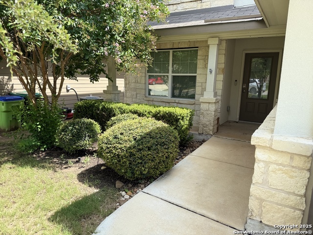 Details for 15530 Gray Catbird, San Antonio, TX 78253