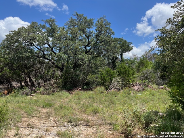 Details for Tbd Chad Way, Spring Branch, TX 78070