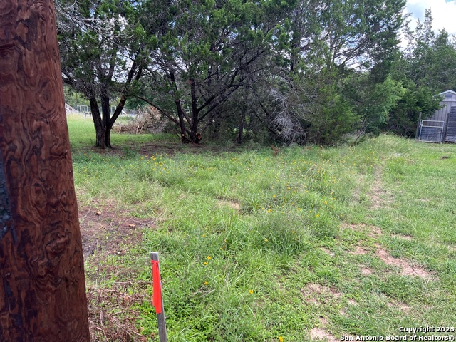 Image 4 of 6 For Tbd Chad Way