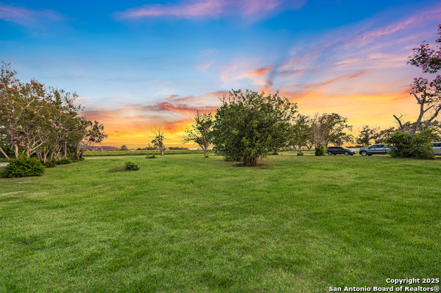 Listing photo id 32 for 2803 Haeckerville