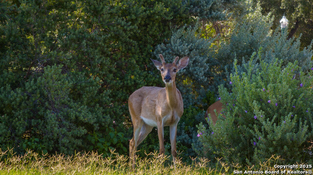Image 35 of 38 For 758 Mission  