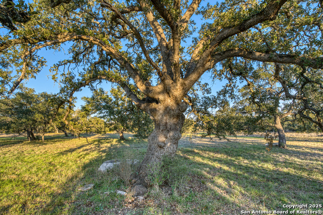Listing photo id 17 for 3111 Hugo Rd
