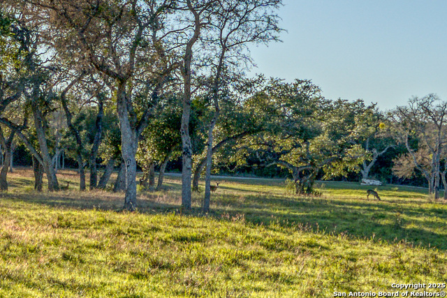 Listing photo id 32 for 3111 Hugo Rd